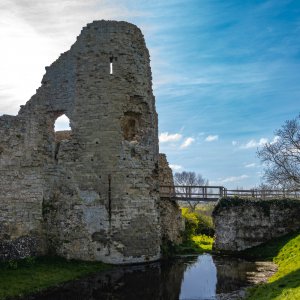DSC_0290.jpg