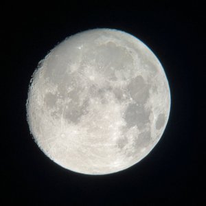 IMG_5093.jpg