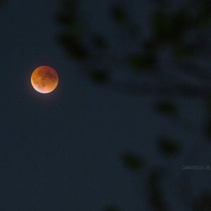 totality.jpg