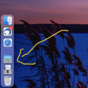 Open Screen Shot 2022-02-01 at 8.01.25 AM.png