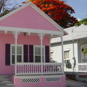 PinkHouse.jpg