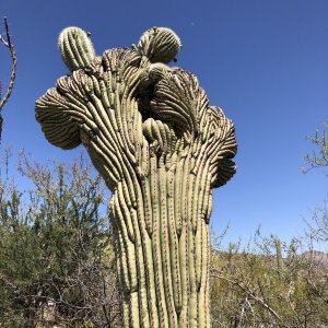 IMG_4913.jpg