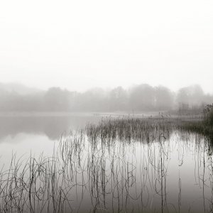 22836B6D-D273-490C-BDF6-FABB38C4BB30.jpeg