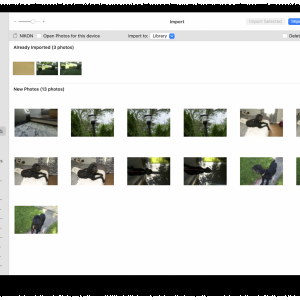 Screen Shot 2022-05-23 at 7.57.57 AM.png