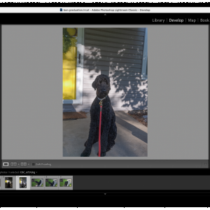 Screen Shot 2022-05-23 at 3.44.00 PM.png