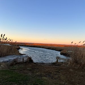 3AE9229E-079E-4F0B-93FF-099D6E3C9278.jpeg