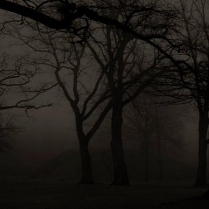 Screen Shot 2022-06-04 at 07.36.35.jpg