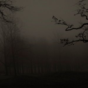 Screen Shot 2022-06-04 at 07.37.00.jpg