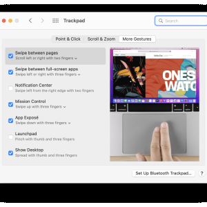 Screen Shot 2022-06-06 at 8.00.49 PM.png