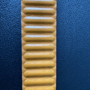 IMG_0257.jpeg