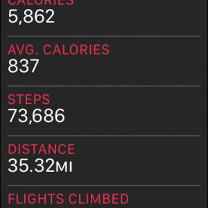 steps.PNG