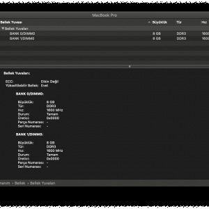 Ekran Resmi 2019-06-14 18.32.15.png