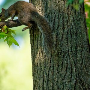 Reaching Safety.jpeg