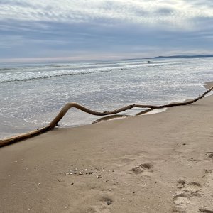 IMG_7683.jpeg