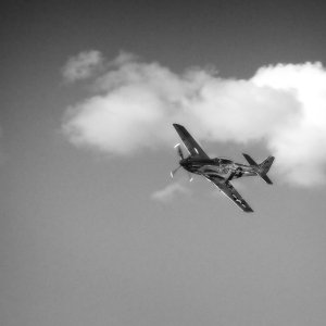 9A5915B7-169C-4FC0-859E-2B29D18C7629.jpeg