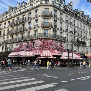 IMG_6472.jpeg