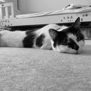 DIGBY - 19.07.22.jpg