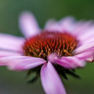 535C98DC-4969-40D6-AAFF-C321087D8087.jpeg
