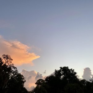 194B5F0C-C556-4BD0-813A-F5A57BF5D62A.jpeg