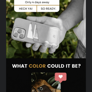 8483C075-8DA7-49D5-B502-B3CA46F7E83D.png
