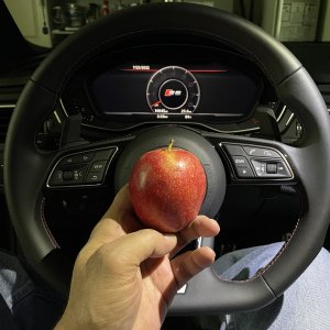 IMG_1982.JPG