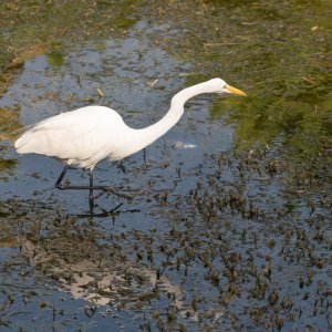 Newton Park WG - 2500px-40.jpg