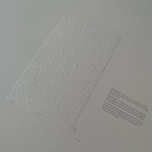 IMG_4855.jpeg