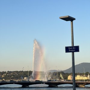 IMG_6806.jpeg