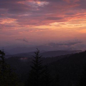 Kuwahi_clingmansdome201806132000_LR.jpg