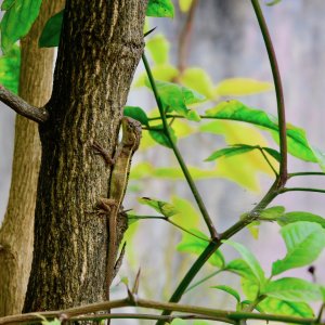 DSC_5645.jpg