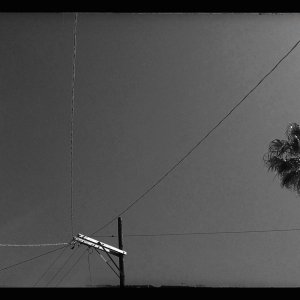 IMG_1305sm.jpg