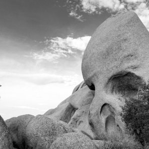 220729-JoshuaTree_318.jpg