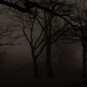 Screen Shot 2022-08-06 at 06.30.50.jpg