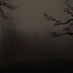 Screen Shot 2022-08-06 at 06.30.28.jpg