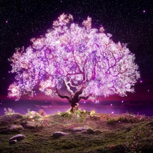 Screen Shot 2022-08-06 at 06.32.08.jpg