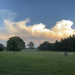 C685E6C3-6283-4968-B46D-39BBAD36B579.jpeg