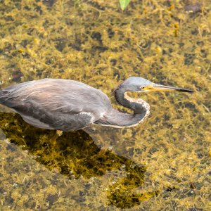 Newton Park WG - 2500px-60.jpg