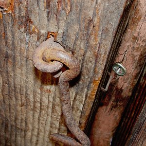 shedhook 4 7.23.22.jpg