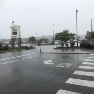 IMG_5398.jpeg