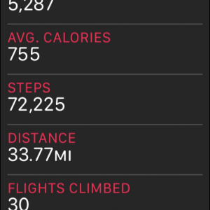 steps.PNG