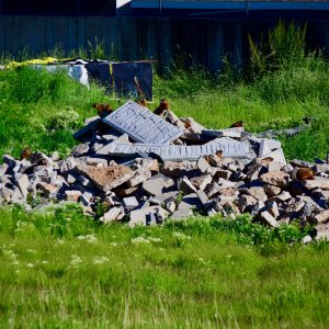 DSC_3902.jpg