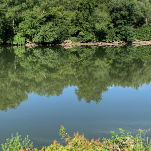 Greater Miami River Rec Trail - River 1.png