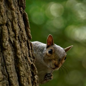 You Looking for Me?.jpeg