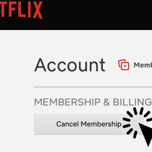 Screen Shot 2022-08-18 at 6.03.19 AM.png