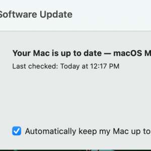Screen Shot 2022-08-18 at 12.17.46 PM.png
