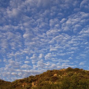 morning sky 8.05.22.jpg