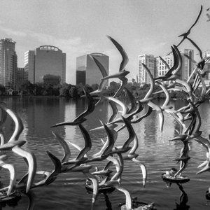 Lake Eola-2.jpg