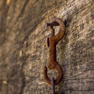 chain clasp rw 8.20.22 cropx.jpg