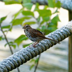 You Taking. My Picture?.jpeg