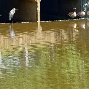 You Guys Stay on Your Side and I'll Stay on Mine.jpeg